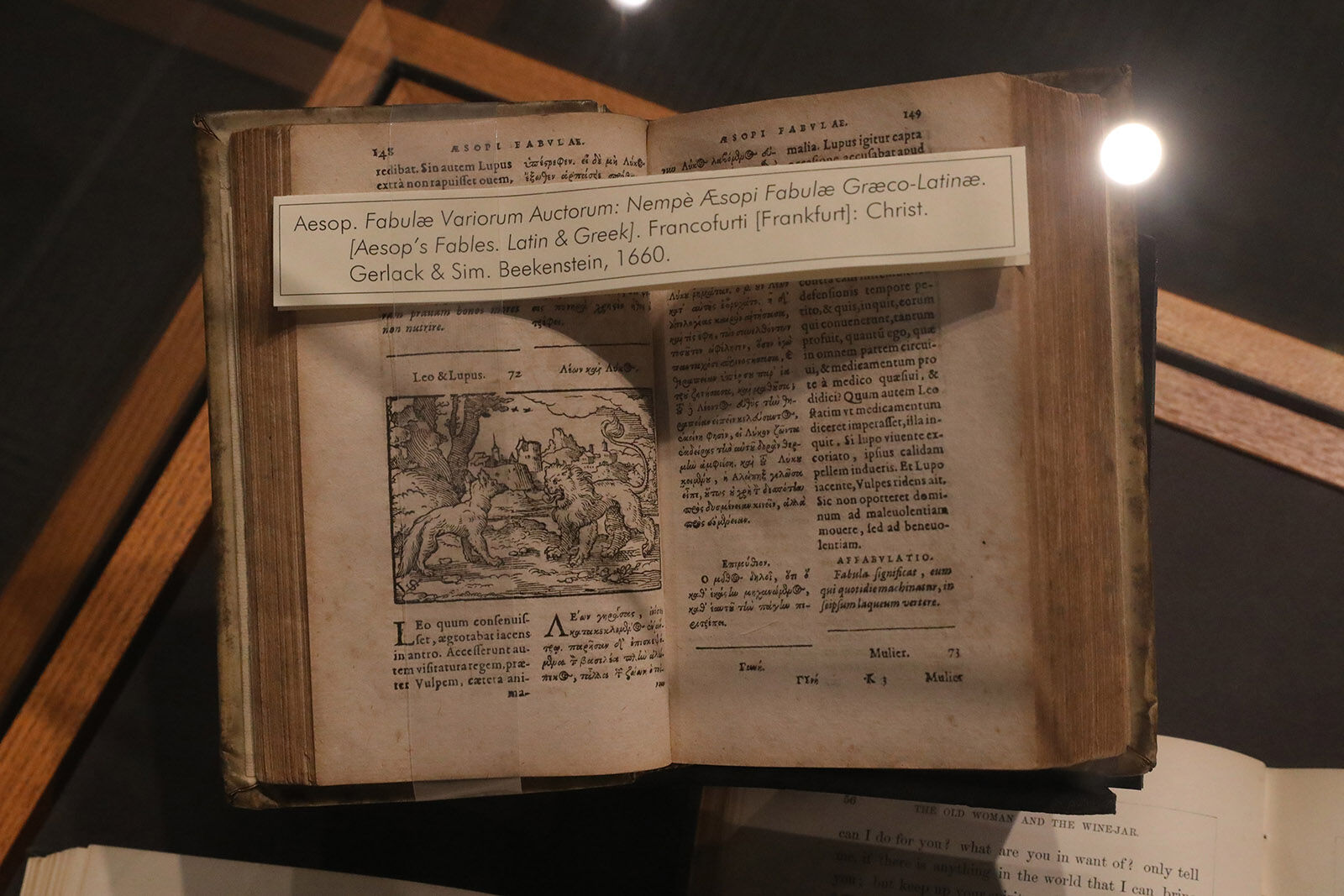 Aesop's Fables in Latin and Greek (copy)